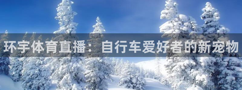 环宇体育直播：自行车爱好者的新宠物