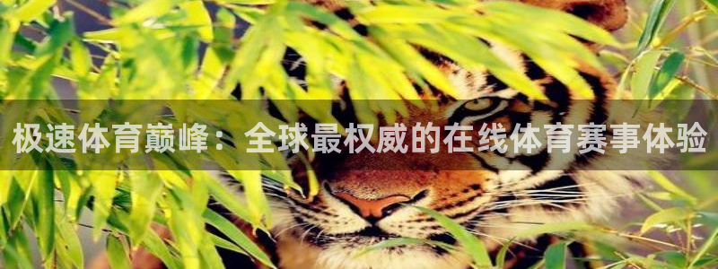极速体育巅峰：全球最权威的在线体育赛事体验
