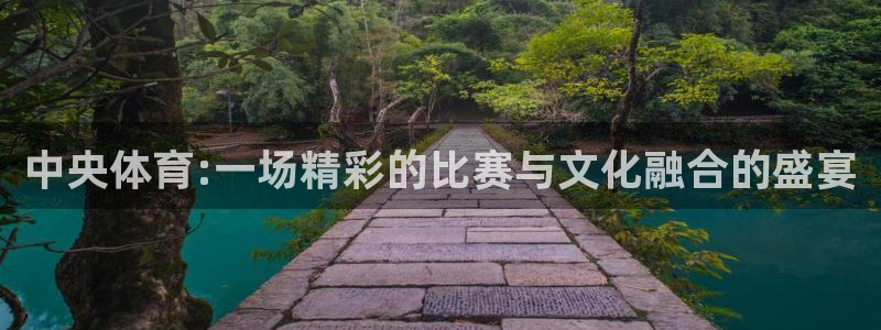 中央体育:一场精彩的比赛与文化融合的盛宴