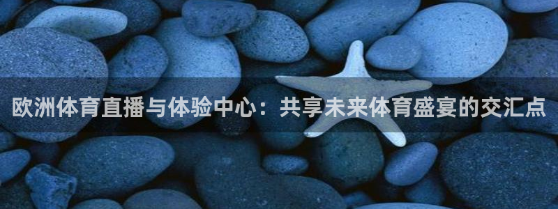 欧洲体育直播与体验中心：共享未来体育盛宴的交汇点