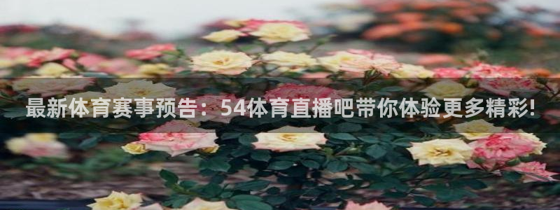 最新体育赛事预告：54体育直播吧带你体验更多精彩!
